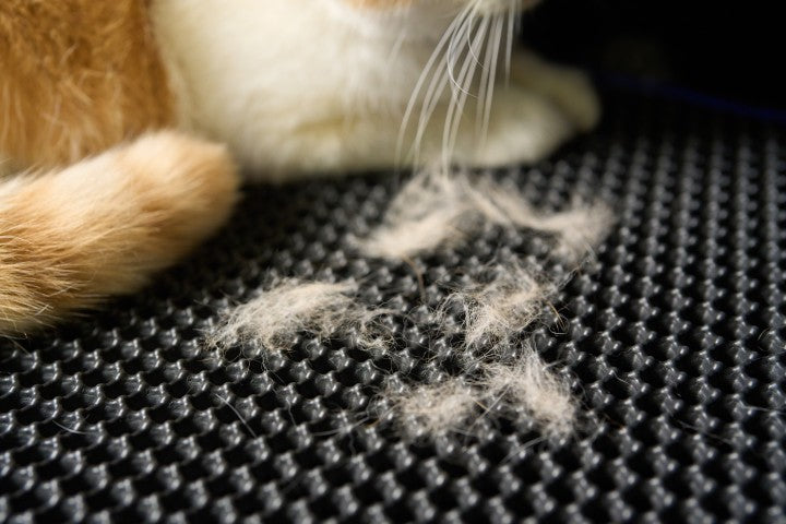 How Pet Hair Gets Trapped in Car Mats and Why It Matters