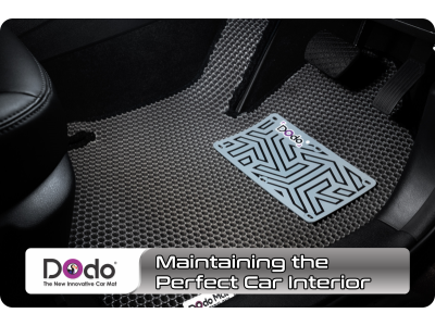 Maintaining the Perfect Car Interior